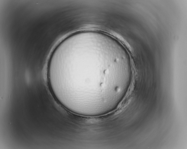 X0000101691421200807311403