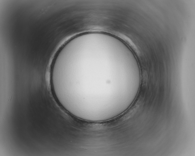 X0000101691424200807311403