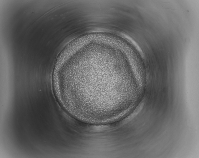 X0000101691425200807311403