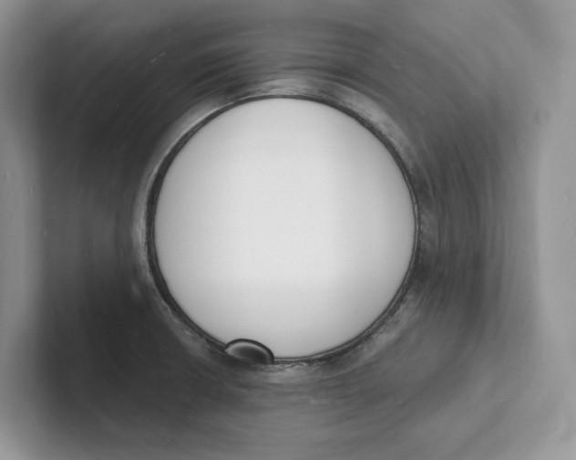 X0000101691426200807311403