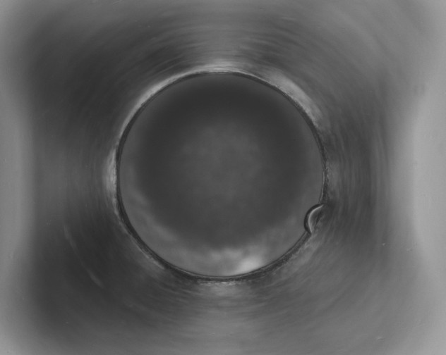 X0000101691428200807311403