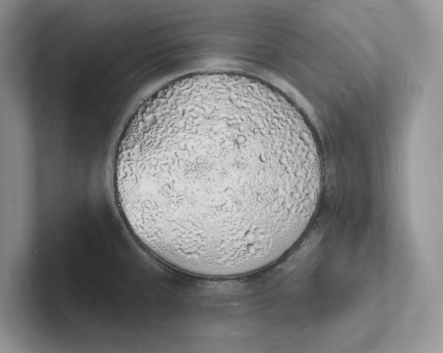 X0000101691429200807311403