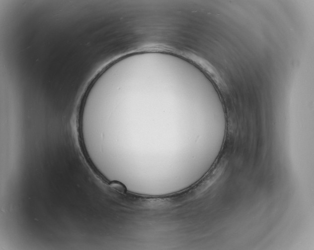 X0000101691430200807311403