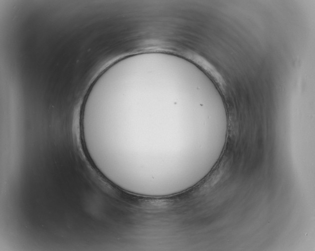 X0000101691431200807311403