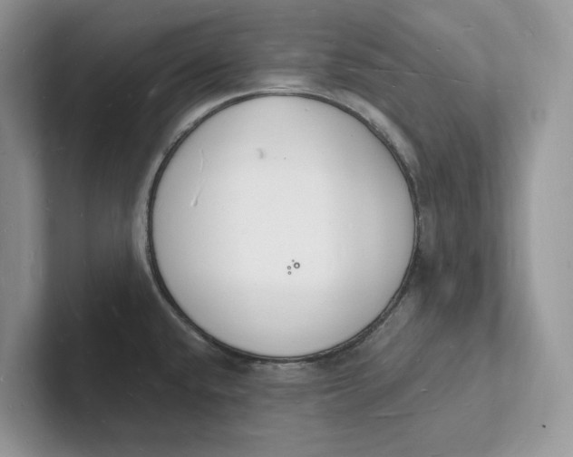 X0000101691432200807311403