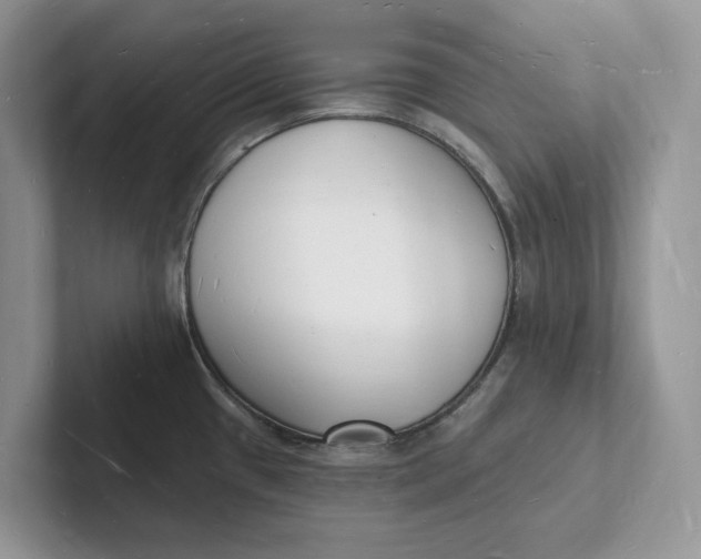 X0000101691433200807311403