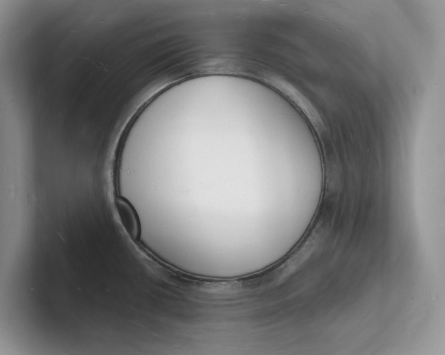 X0000101691434200807311403