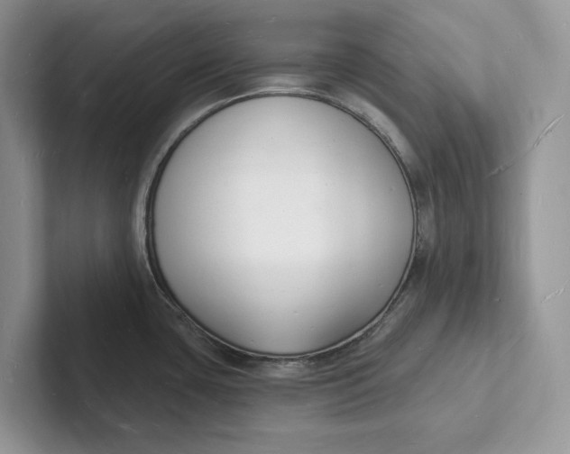 X0000101691435200807311403