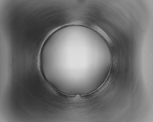 X0000101691436200807311403