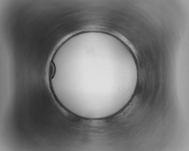 X0000101691437200807311403