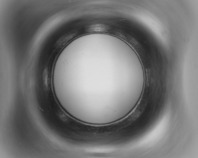 X0000101691438200807311403