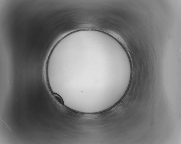 X0000101691440200807311403