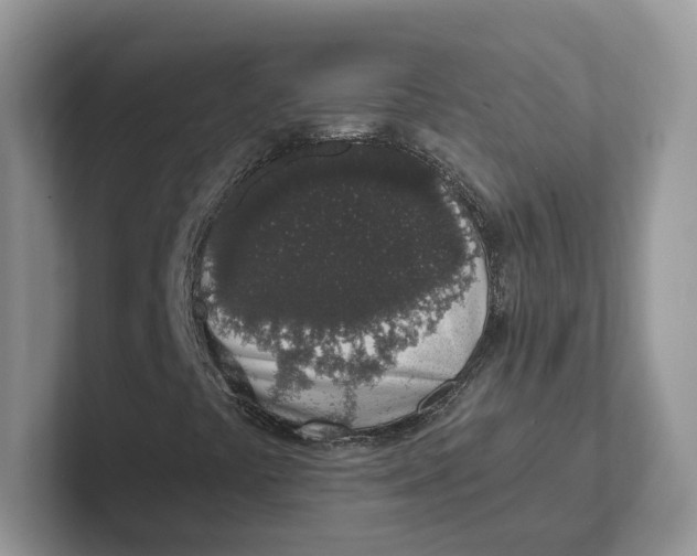 X0000101691441200807311402