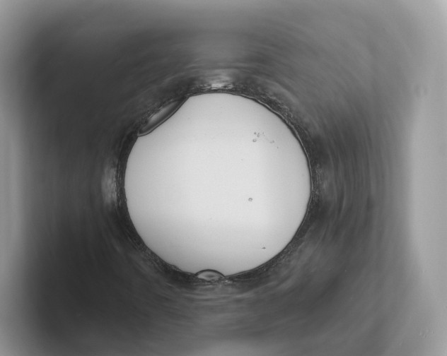 X0000101691442200807311402