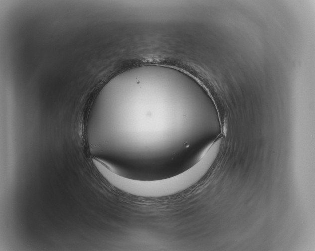 X0000101691444200807311402