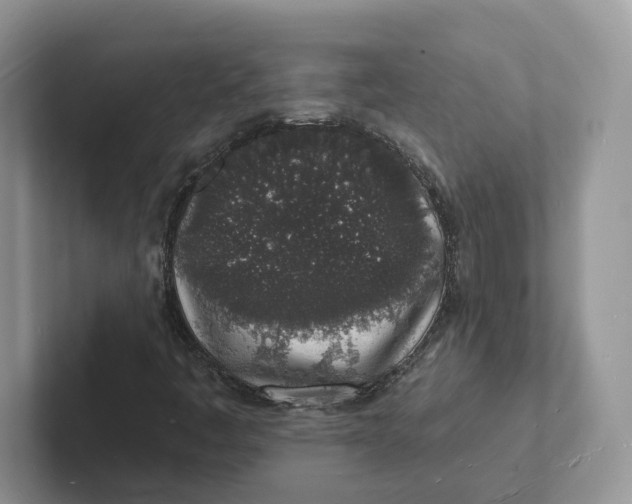 X0000101691445200807311402