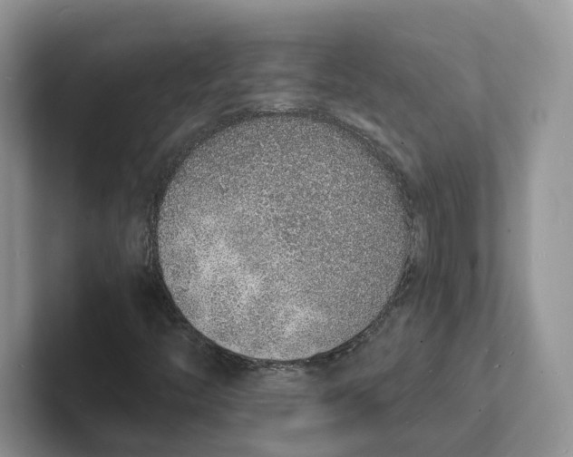 X0000101691446200807311402