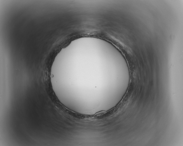 X0000101691447200807311402