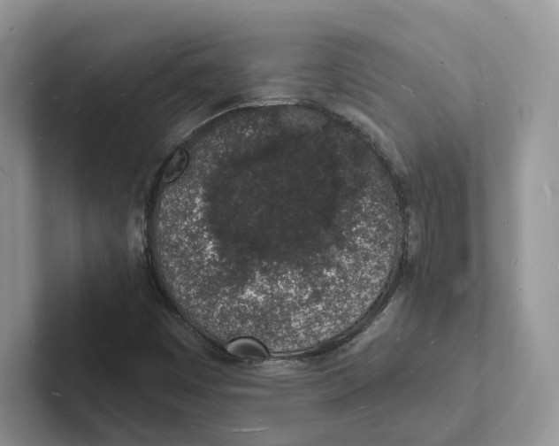 X0000101691449200807311402