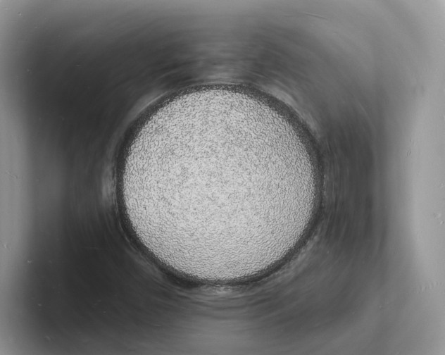 X0000101691450200807311402