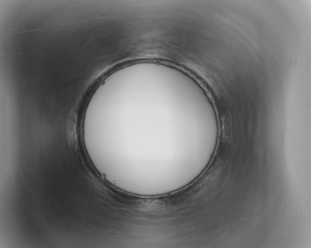 X0000101691452200807311402