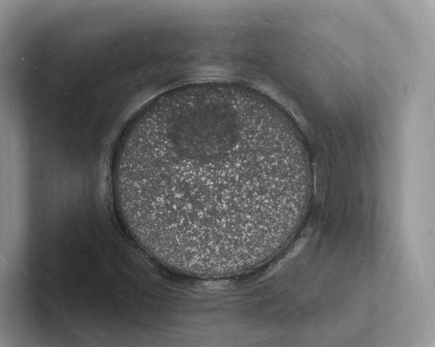 X0000101691453200807311402