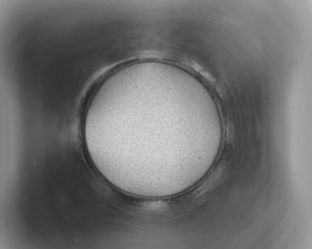 X0000101691454200807311402