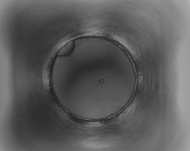 X0000101691455200807311402