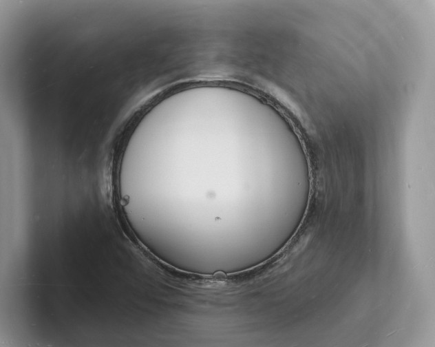 X0000101691456200807311402