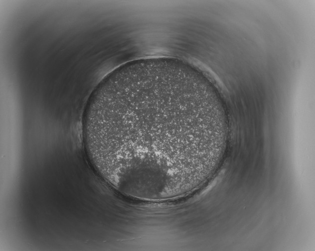 X0000101691457200807311402