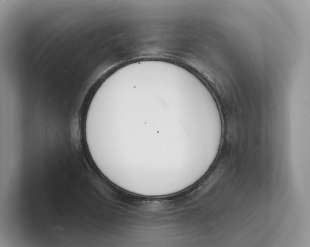 X0000101691458200807311402