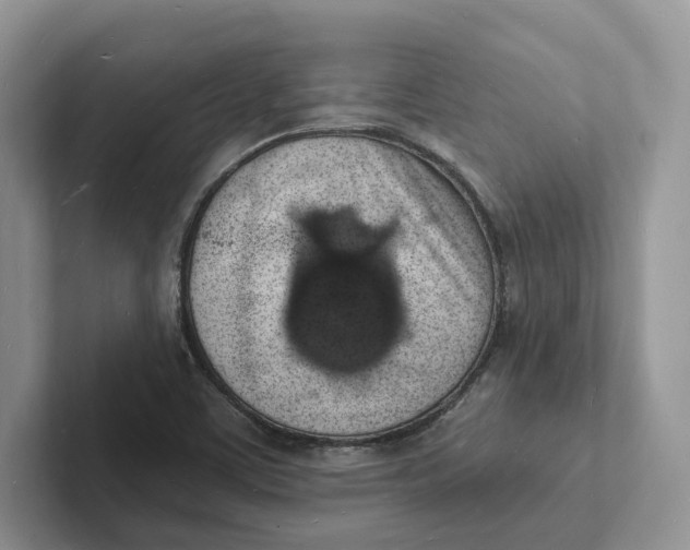 X0000101691459200807311402