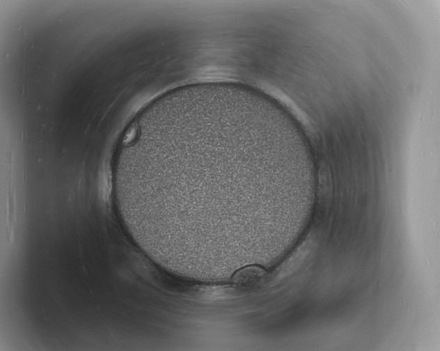 X0000101691461200807311402