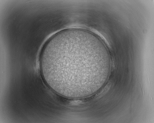 X0000101691462200807311402