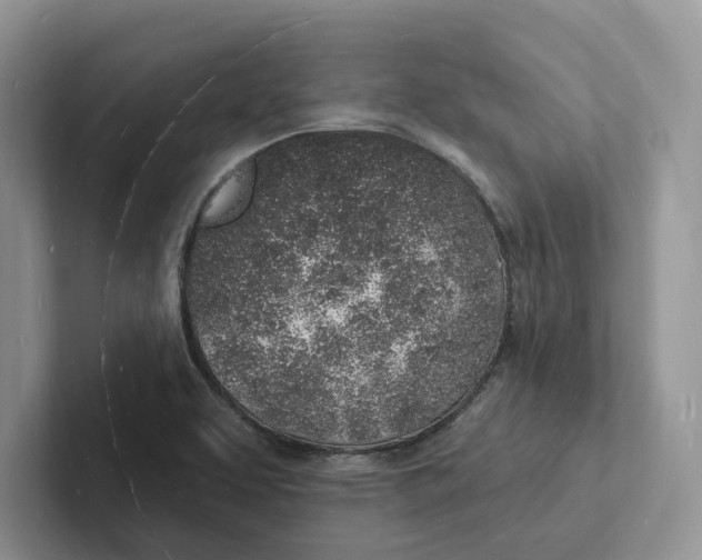 X0000101691463200807311402