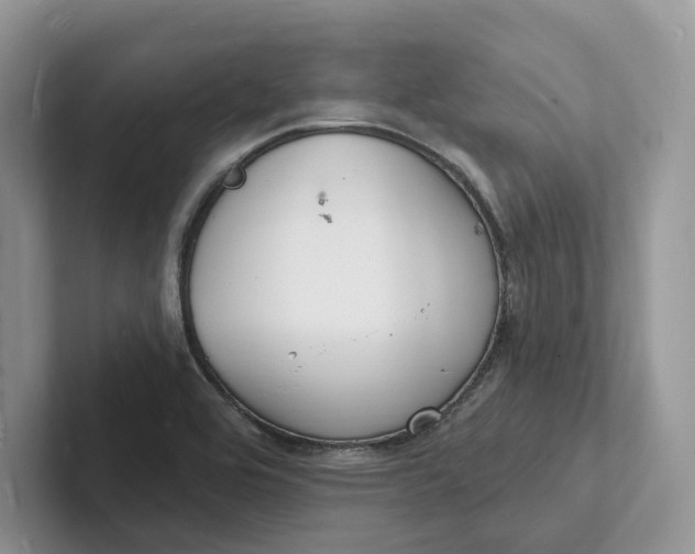 X0000101691464200807311402