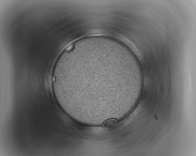 X0000101691465200807311402