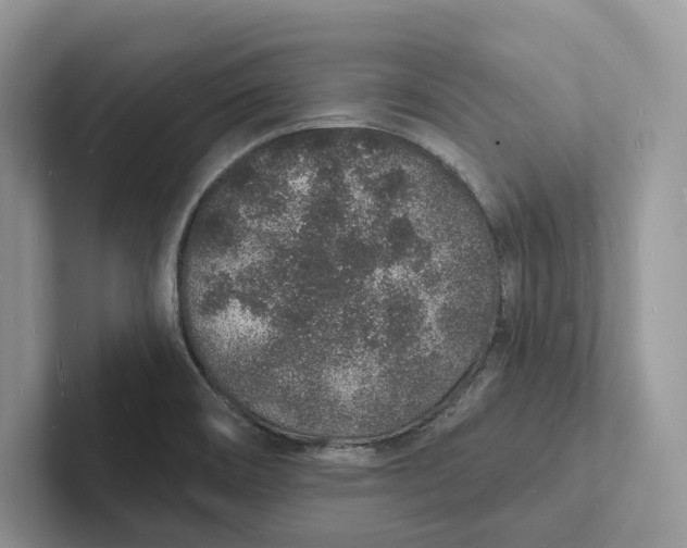 X0000101691466200807311402