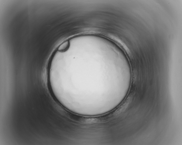 X0000101691467200807311402