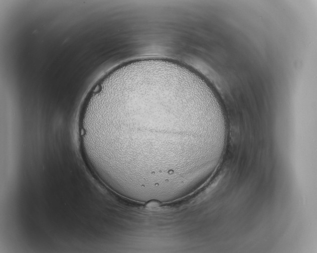 X0000101691469200807311402