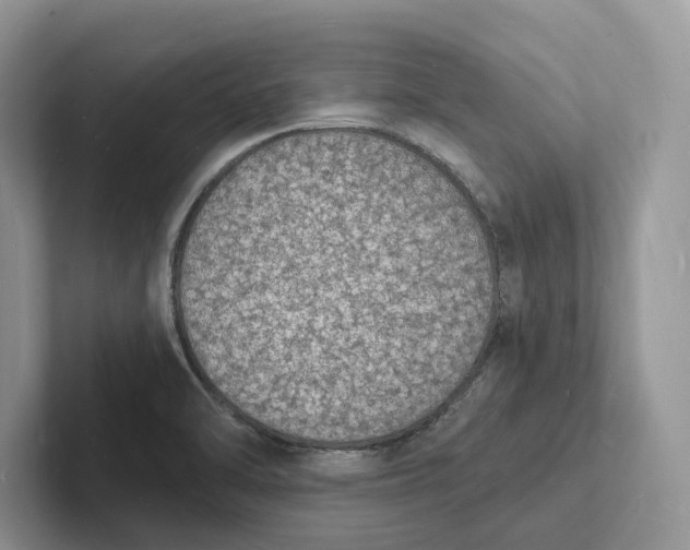 X0000101691470200807311402