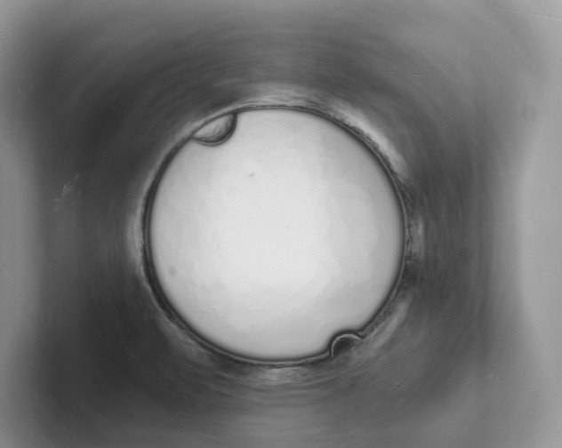 X0000101691471200807311402