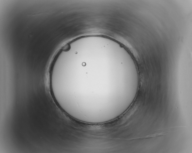 X0000101691472200807311402