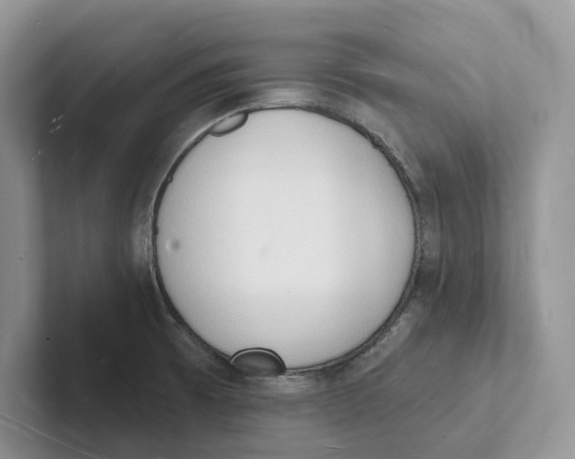 X0000101691473200807311402