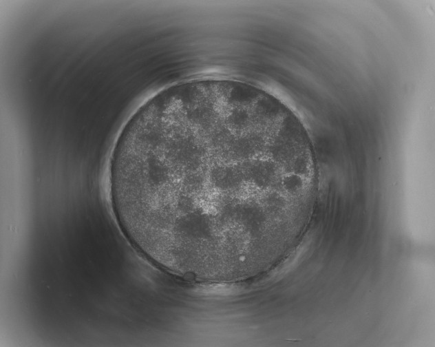 X0000101691474200807311402