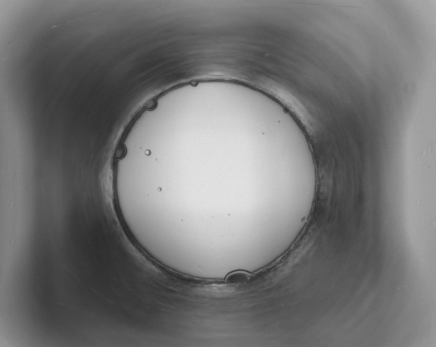 X0000101691476200807311402