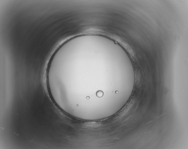 X0000101691478200807311402