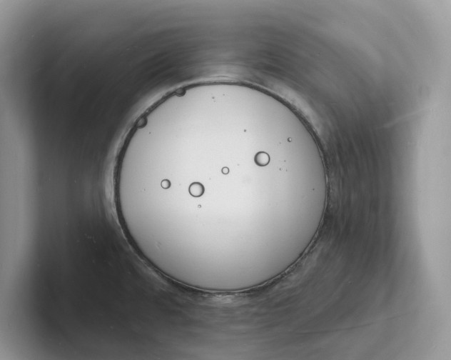 X0000101691480200807311402