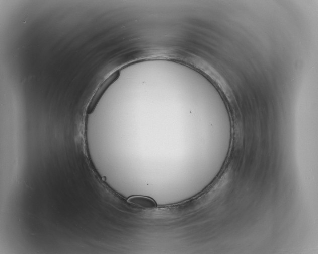 X0000101691481200807311402