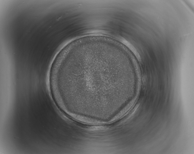 X0000101691482200807311402